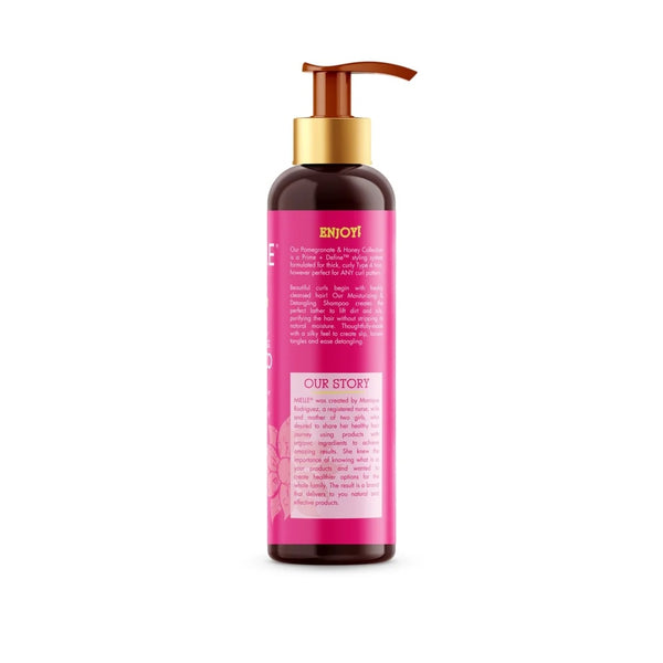 Pomegranate and Honey Detangling Shampoo - 2 packs - 12Fl oz per pack - plus 3 My Outlet Mall Resealable Storage Pouches