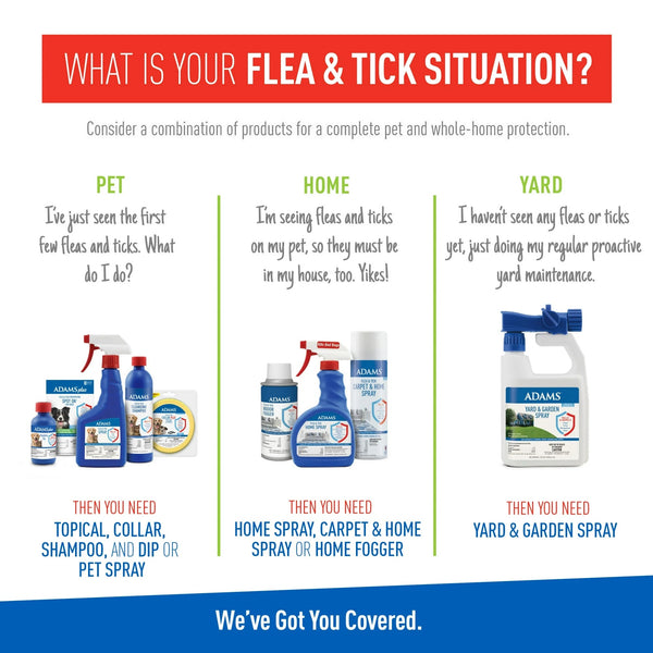 Flea and Tick Spray for Cats, Kittens, Dogs and Puppies - 1 pack - 16 oz per pack - plus 3 My Outlet Mall Resealable Storage Pouches