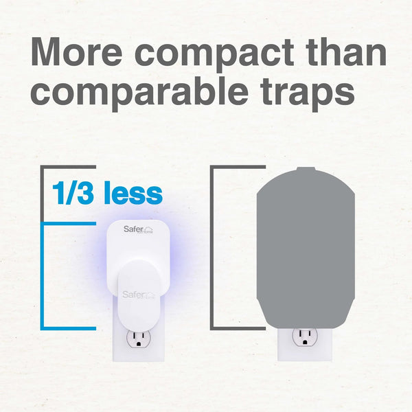 Indoor Fly Trap, 1 Trap, 2 Glue Cards - 1 pack - plus 3 My Outlet Mall Resealable Storage Pouches