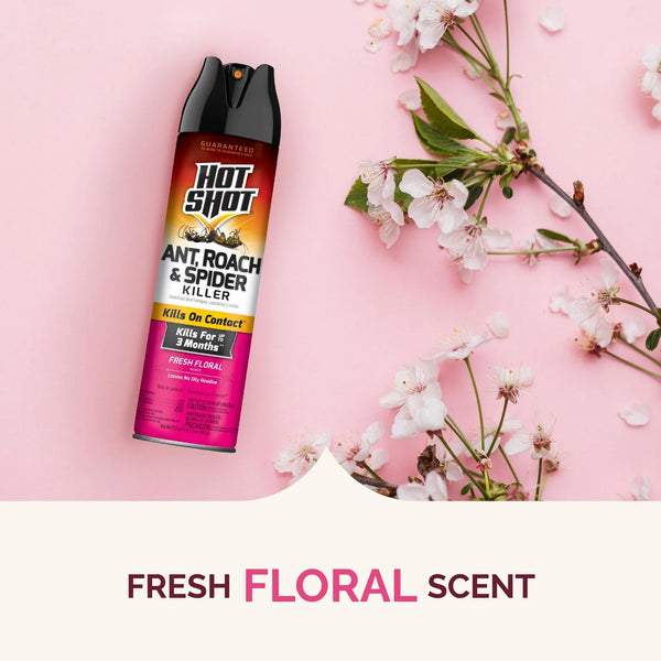 Ant, Roach & Spider Killer, Fresh Floral Scent Formula - 1 pack - 17.5 oz per pack - plus 3 My Outlet Mall Resealable Storage Pouches