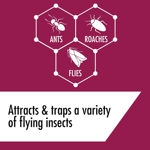 Kills Indoor and Outdoor Ants Roaches and Flies Killer Bug Spray - 1 pack - 12 oz per pack - plus 3 My Outlet Mall Resealable Storage Pouches
