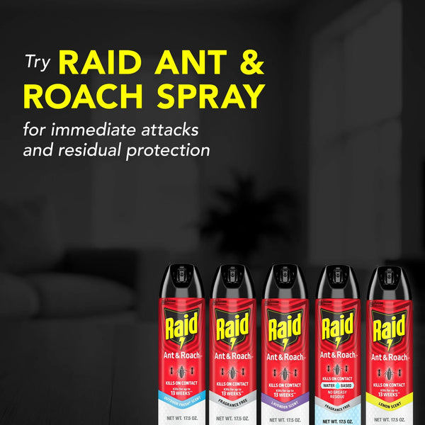 Ant Killer 26, Insecticide Spray for Home, Pine Forest Fresh Scent - 1 pack - 17.5 oz per pack - plus 3 My Outlet Mall Resealable Storage Pouches