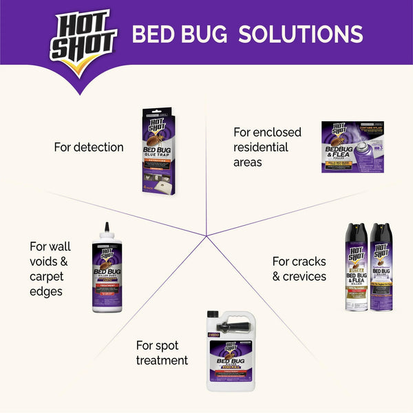 Bed Bug Killer Dust with Diatomaceous Earth, Treatment for Bed Bugs - 1 pack - 8 oz per pack - plus 3 My Outlet Mall Resealable Storage Pouches