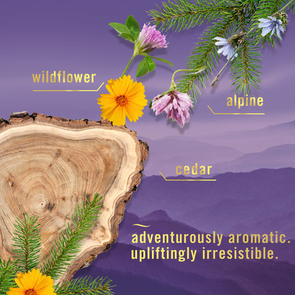 Air Effects Mountain Scent Air Freshener - 2 packs - 8.8 oz per pack - plus 3 My Outlet Mall Resealable Storage Pouches