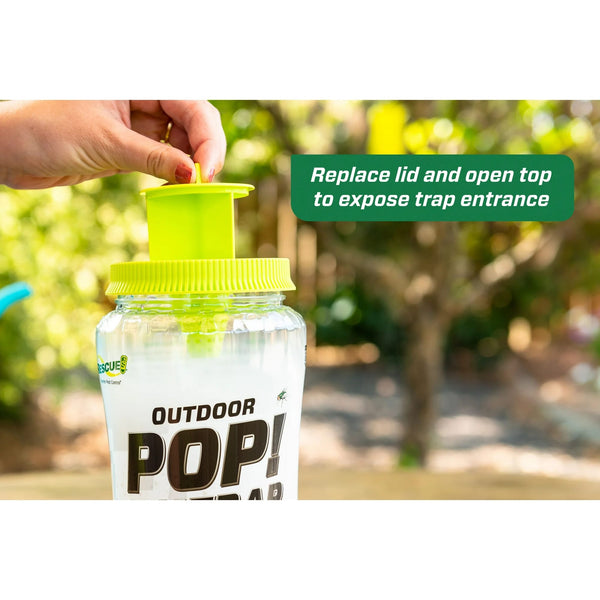 Pop! Reusable Outdoor Fly Trap, Resin -1 pack - plus 3 My Outlet Mall Resealable Storage Pouches