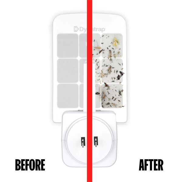 Indoor Insect Trap, White, 1 Trap, 3 Refills - 3 packs - plus 3 My Outlet Mall Resealable Storage Pouches