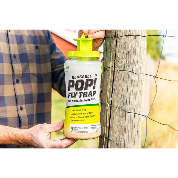 Pop! Reusable Outdoor Fly Trap, Resin -1 pack - plus 3 My Outlet Mall Resealable Storage Pouches