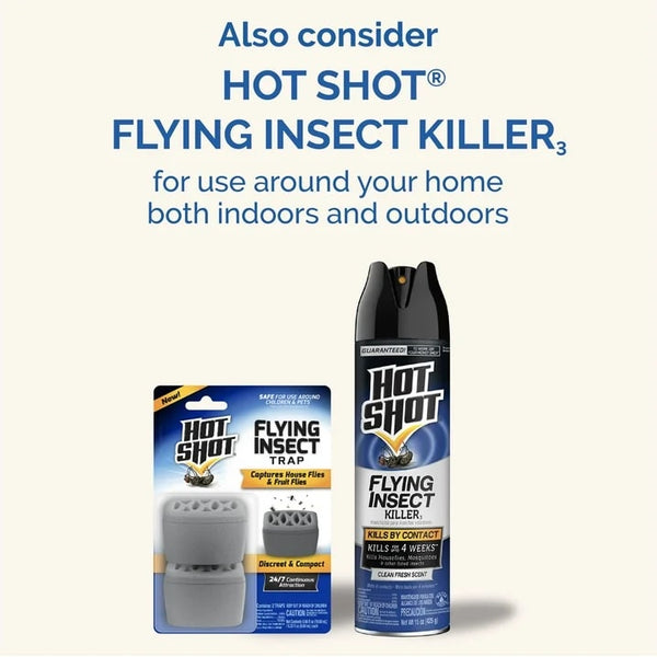 Flying Insect Trap, Attracts and Captures House and Fruit Flies - 2 packs - 2 Count - plus 3 My Outlet Mall Resealable Storage Pouches