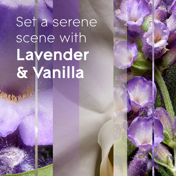 PlugIns Scented Oil 5 Refills, Air Freshener, Lavender & Vanilla Fragrance, Essential Oil Infused Wall Plug In, 3.35 oz - 3 packs - plus 3 My Outlet Mall Resealable Storage Pouches