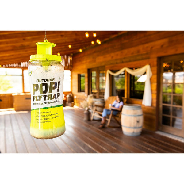 Pop! Reusable Outdoor Fly Trap, Resin -1 pack - plus 3 My Outlet Mall Resealable Storage Pouches