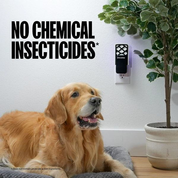Trap Insects Refill Glue Cards - 1 pack - 3 Count - plus 3 My Outlet Mall Resealable Storage Pouches