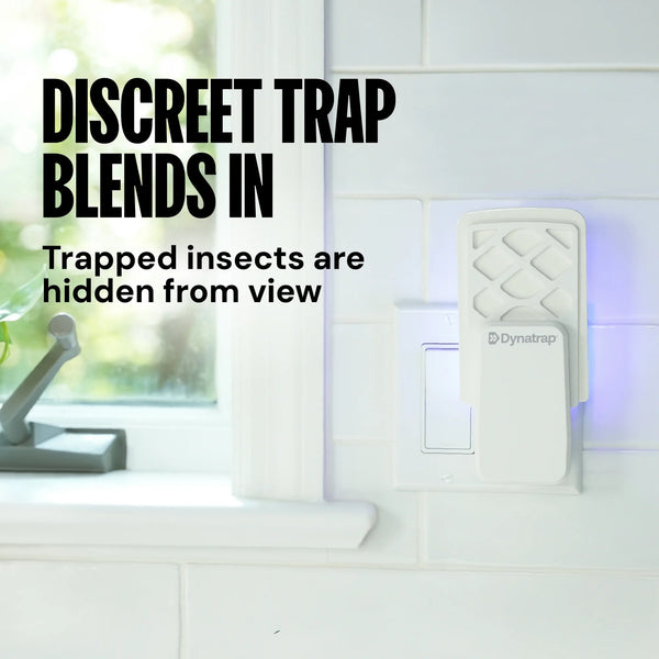 Indoor Insect Trap, White, 1 Trap, 3 Refills - 3 packs - plus 3 My Outlet Mall Resealable Storage Pouches
