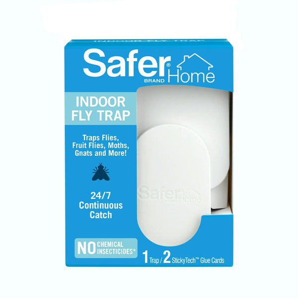Indoor Fly Trap, 1 Trap, 2 Glue Cards - 1 pack - plus 3 My Outlet Mall Resealable Storage Pouches