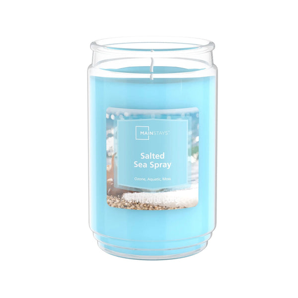 Salted Sea Spray Scented Single-Wick Large Glass Jar Candle - 1 pack - 20 oz per pack - plus 3 My Outlet Mall Resealable Storage Pouches