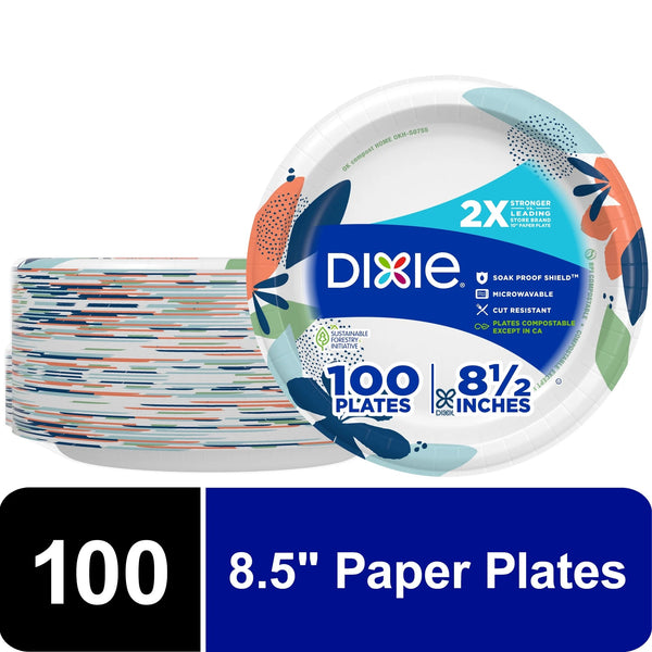 Everyday Disposable Paper Plates, 8.5", Multi-Color - 1 pack - 100 Count per pack - plus 3 My Outlet Mall Resealable Storage Pouches