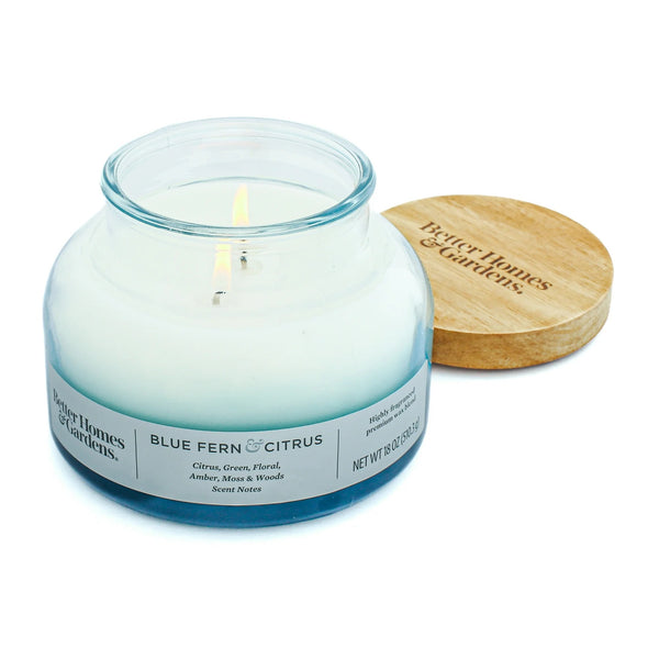 Blue Fern & Citrus Scented 2-Wick Ombre Bell Jar Candle - 2 packs - 18 oz per pack - plus 3 My Outlet Mall Resealable Storage Pouches