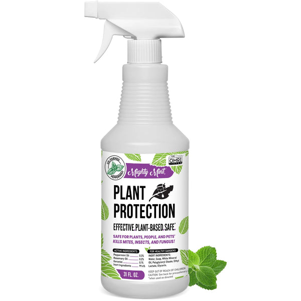 Plant Protection Pest Spray Peppermint for Spider Mites, Fungus, Insects -  2 packs - 31 oz per pack - plus 3 My Outlet Mall Resealable Storage Pouches