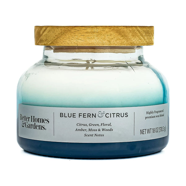 Blue Fern & Citrus Scented 2-Wick Ombre Bell Jar Candle - 2 packs - 18 oz per pack - plus 3 My Outlet Mall Resealable Storage Pouches