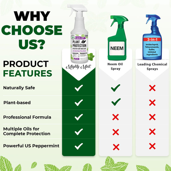Plant Protection Pest Spray Peppermint for Spider Mites, Fungus, Insects -  2 packs - 31 oz per pack - plus 3 My Outlet Mall Resealable Storage Pouches