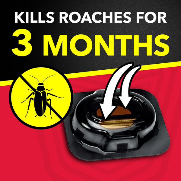 Double Control Large Roach Insect Killer Bait - 1 pack - plus 3 My Outlet Mall Resealable Storage Pouches