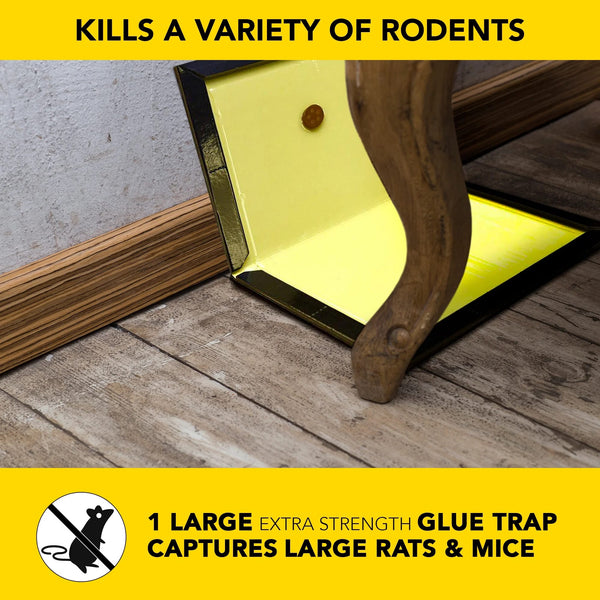 Super-Size Rat and Mouse Glue Trap with Lure and Trap  - 2 packs - plus 3 My Outlet Mall Resealable Storage Pouches