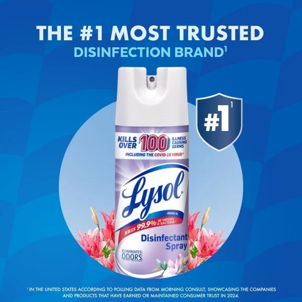 Disinfectant Spray, Sanitizing/Antibacterial Disinfecting and Deodorizing, Early Morning Breeze - 1 pack - 19 oz per pack - plus 3 My Outlet Mall Resealable Storage Pouches