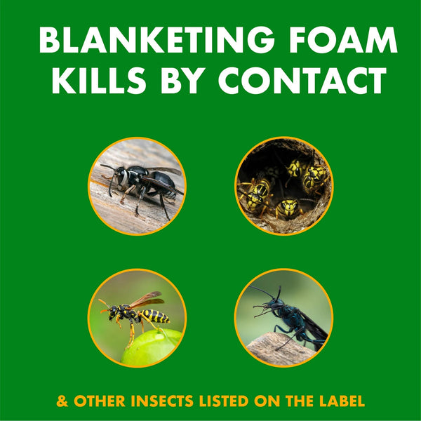 Foaming Wasp and Hornet Killer, Blanketing Foam Kills By Contact  - 1 pack - 14 oz per pack - plus 3 My Outlet Mall Resealable Storage Pouches