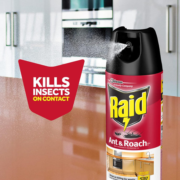 Ant & Roach Killer, Indoor Insecticide Spray, Fragrance-Free - 3 packs - 17.5 oz per pack - plus 3 My Outlet Mall Resealable Storage Pouches