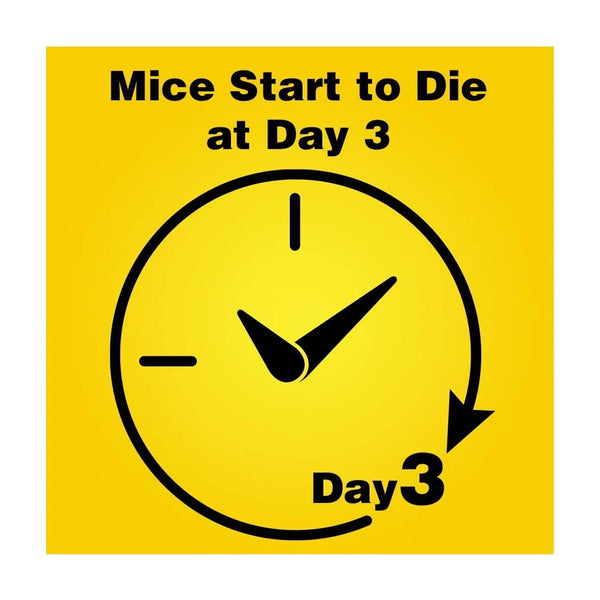 Refillable Corner Fit Mouse Bait Station, 1 Trap and 10 Baits - 1 pack - plus 3 My Outlet Mall Resealable Storage Pouches