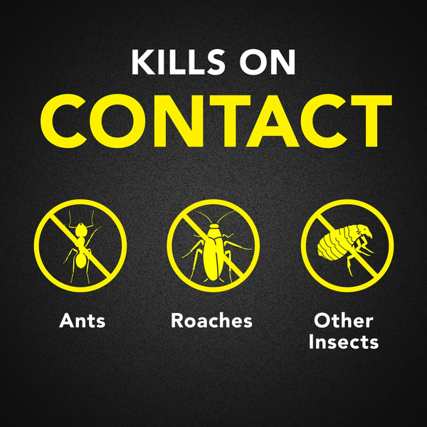 Defend Indoor Defense System Roach and Ant Killer Spray Value Size - 1 pack - 20 oz per pack plus 3 My Outlet Mall Resealable Storage Pouches