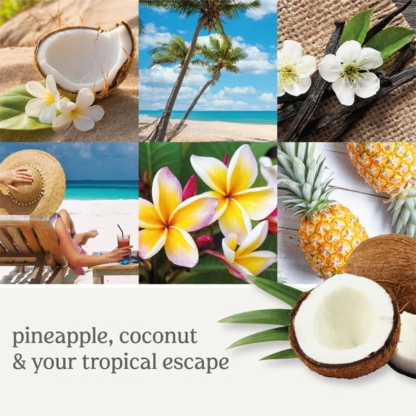 Coconut Beach ScentPlug Refill - 1 pack - plus 3 My Outlet Mall Resealable Storage Pouches