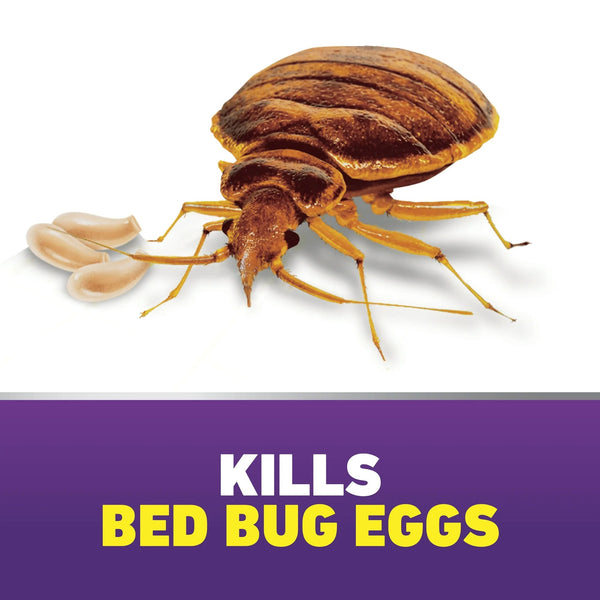 Home Defense Max Bed Bug Killer - 3 packs - 18 oz per pack - plus 3 My Outlet Mall Resealable Storage Pouches