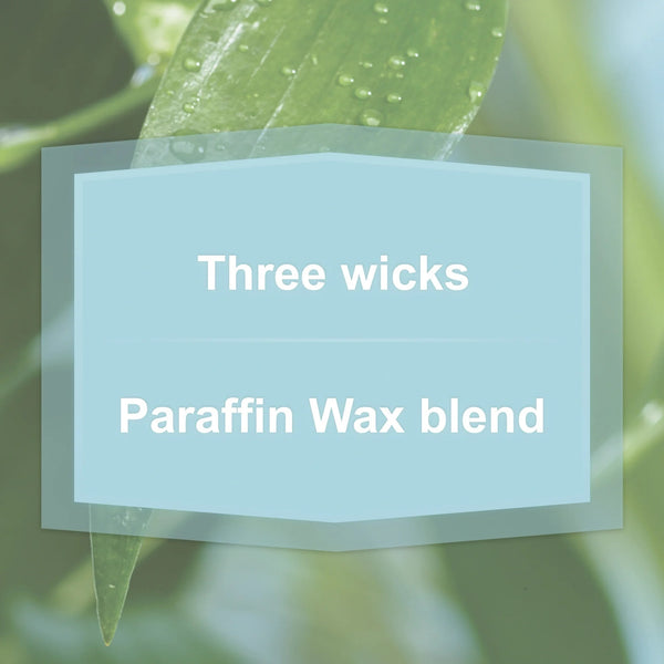 Garden Rain Scented 3-Wick Glass Jar Candle - 2 packs - 11.5 oz per pack - plus 3 My Outlet Mall Resealable Storage Pouches