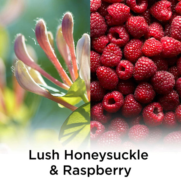 Plug-in Scented Oil Refill, Lush Honeysuckle & Raspberry, Air Freshener, 2 Refills - 1 pack - plus 3 My Outlet Mall Resealable Storage Pouches
