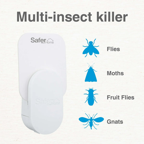 Indoor Fly Trap, 1 Trap, 2 Glue Cards - 1 pack - plus 3 My Outlet Mall Resealable Storage Pouches