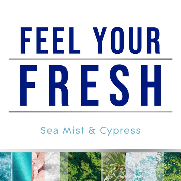 Automatic Spray Air Freshener Refills, Sea Mist & Cypress, Fresh Collection - 1 pack - 6.2 oz per pack - plus 3 My Outlet Mall Resealable Storage Pouches