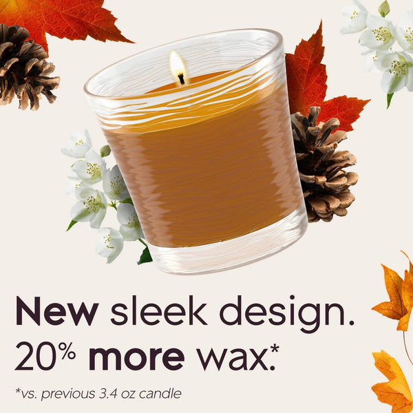 Single Wick Candles, Cashmere Woods, 2 Candles - 3 packs - plus 3 My Outlet Mall Resealable Storage Pouches