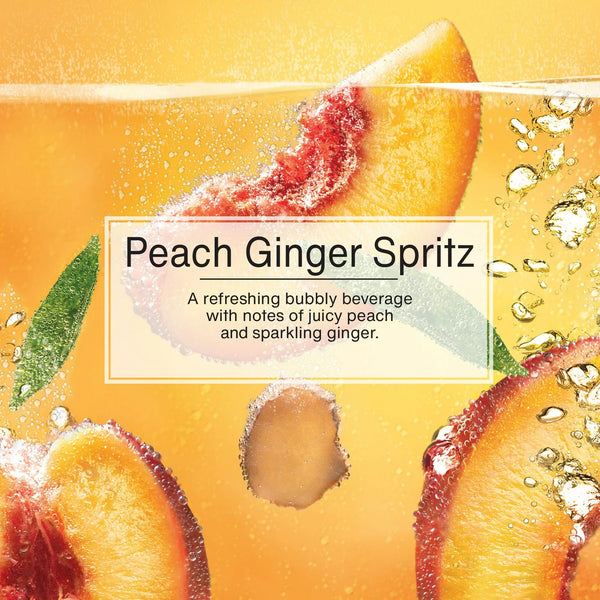 Air Freshener Peach Ginger Spritz Fragrance 3 count - 2 packs - plus 3 My Outlet Mall Resealable Storage Pouches