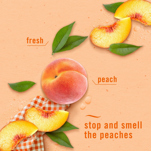 Bathroom Air Freshener, Small Spaces Odor-Fighting Georgia Peach Orchard -  2 packs - 2 count per pack plus 3 My Outlet Mall Resealable Storage Pouches