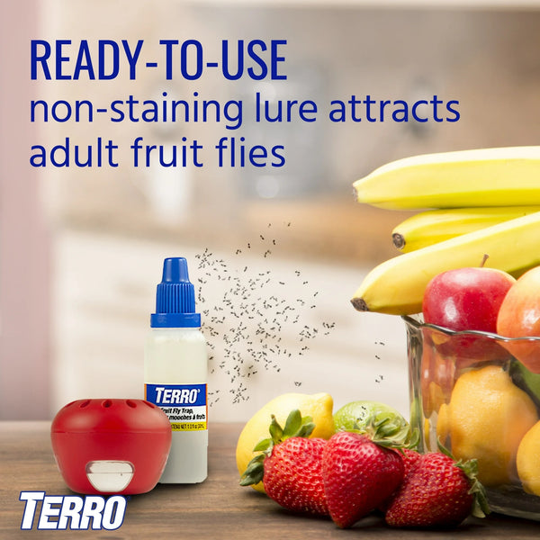Fruit Fly Traps  - 1 pack - plus 3 My Outlet Mall Resealable Storage Pouches