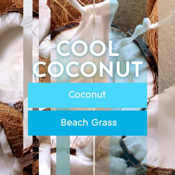 Cool Coconut Limited Edition, Fragrance Infused with Essential Oils Candles, 2 Candles - 1 pack - plus 3 My Outlet Mall Resealable Storage Pouches