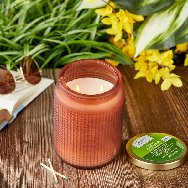 Citronella 2- Wick Glass Outdoor Jar Candle - 2 packs - 18 oz per pack - plus 3 My Outlet Mall Resealable Storage Pouches