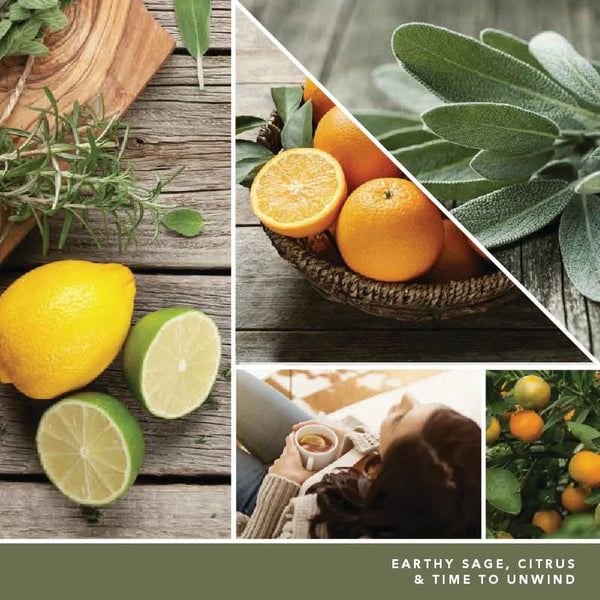 Candle Sage & Citrus Studio Collection Jar Candle - 1 pack - 10 oz per pack - plus 3 My Outlet Mall Resealable Storage Pouches