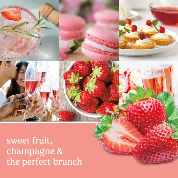 White Strawberry Bellini Scent Plug Refill - 1 pack - plus 3 My Outlet Mall Resealable Storage Pouches