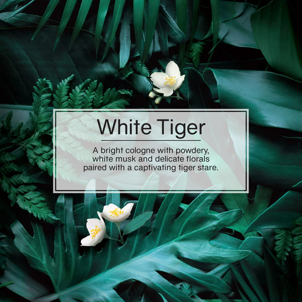 Air Freshener White Tiger Fragrance 3 count - 1 pack - plus 3 My Outlet Mall Resealable Storage Pouches