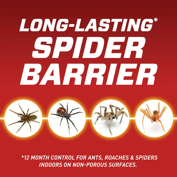 Home Defense Insect Killer for Indoor and Perimeter2 - 3 packs - 24 oz per pack plus 3 My Outlet Mall Resealable Storage Pouches