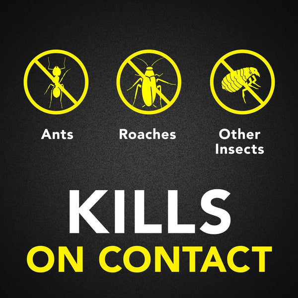 Defend Ant & Roach Killer, Indoor Insecticide, Residual Killing Power, Lemon Scent - 2 packs - 20 oz per pack - plus 3 My Outlet Mall Resealable Storage Pouches