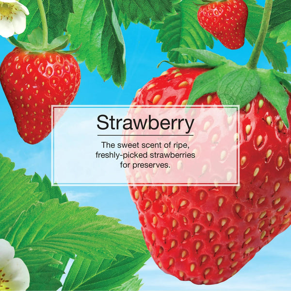 Air Freshener Strawberry Fragrance, 3 Count - 1 pack - plus 3 My Outlet Mall Resealable Storage Pouches
