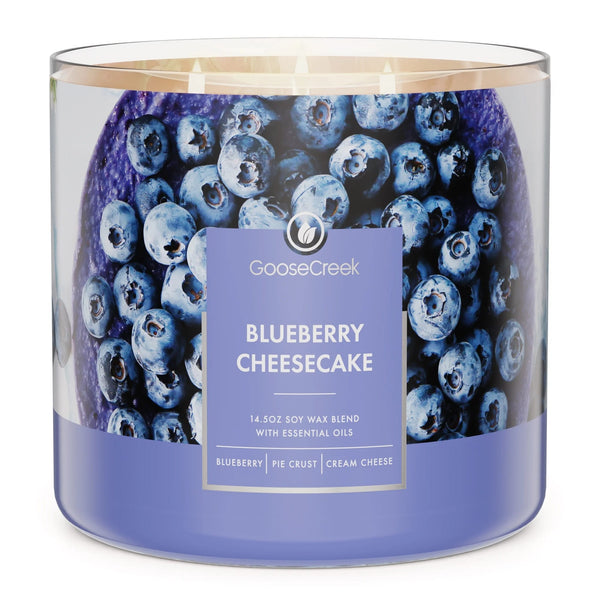 Blueberry Cheesecake Scented 3 Wick Jar Candle, Sweet - 1 pack - 14.5 oz per pack - plus 3 My Outlet Mall Resealable Storage Pouches