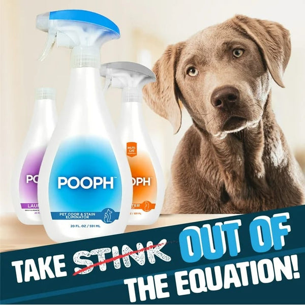 Pet Odor and Stain Eliminator - 1 pack - 20 fl oz per pack - plus 3 My Outlet Mall Resealable Storage Pouches